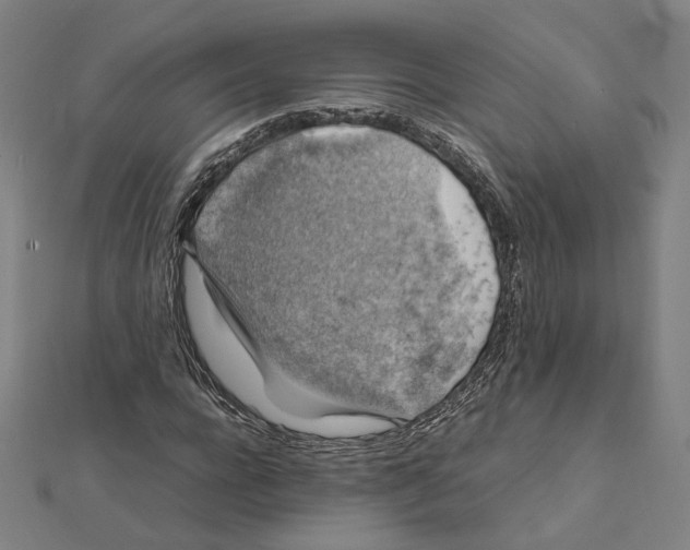 X0000112010920200908311131