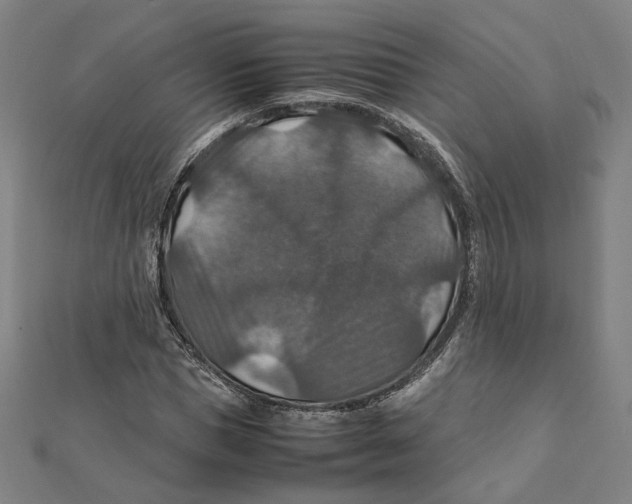 X0000112010921200908311131