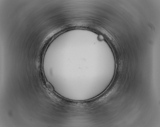 X0000112010922200908311131