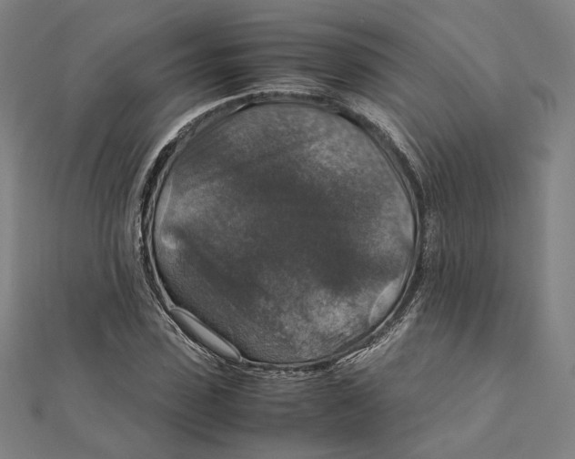 X0000112010923200908311131