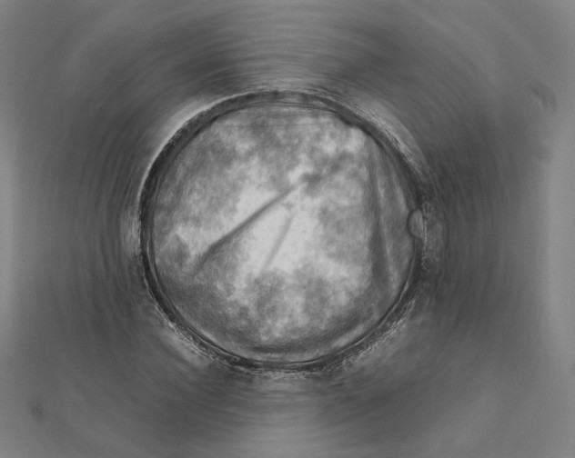 X0000112010924200908311131
