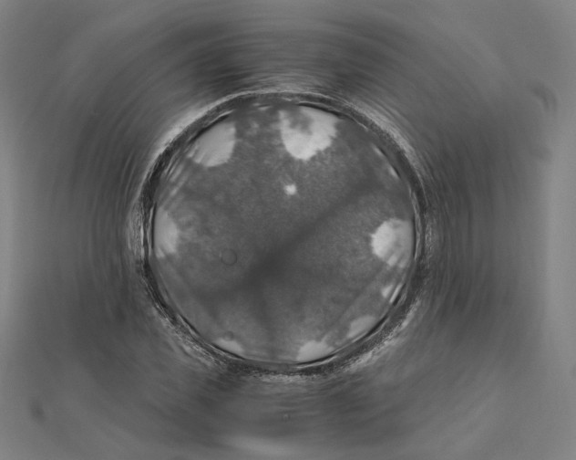 X0000112010925200908311131