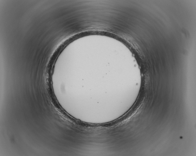 X0000112010926200908311131