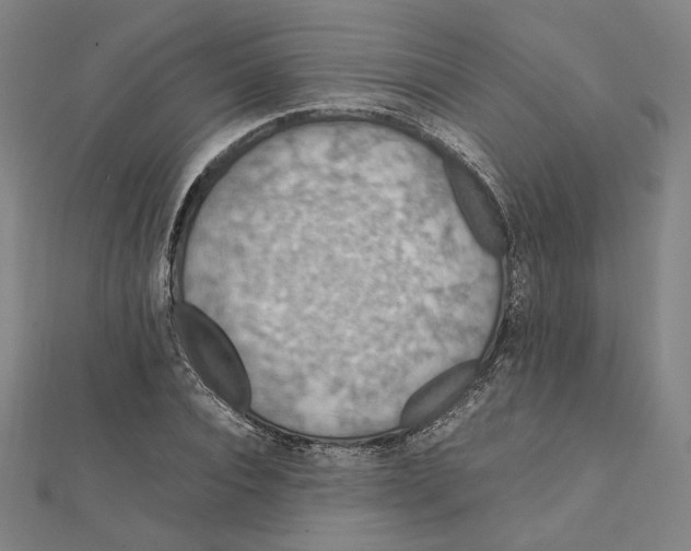 X0000112010928200908311131