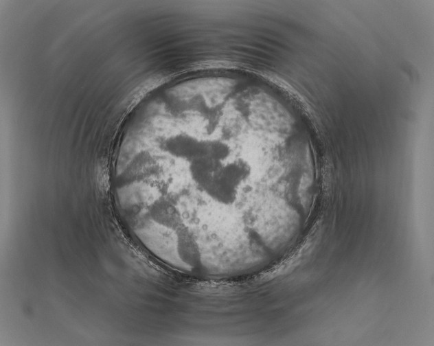 X0000112010929200908311131