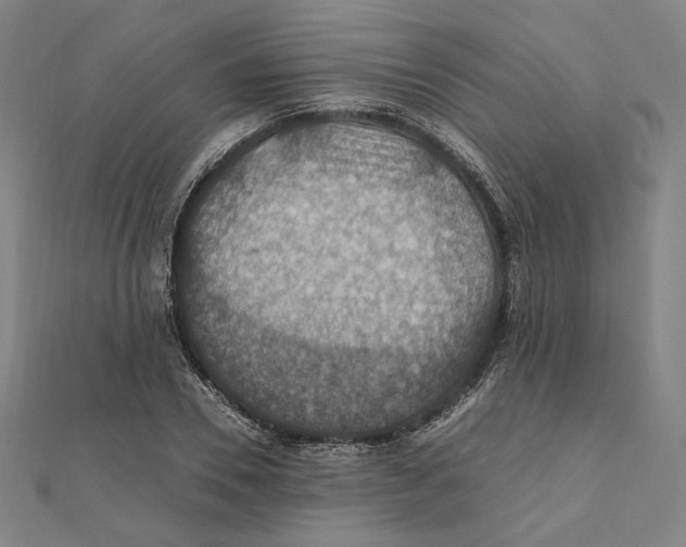 X0000112010930200908311131