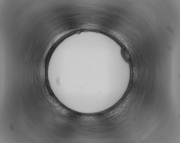 X0000112010931200908311131