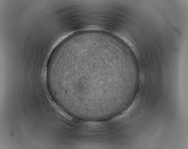 X0000112010933200908311131