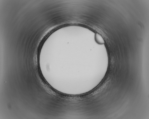X0000112010934200908311131