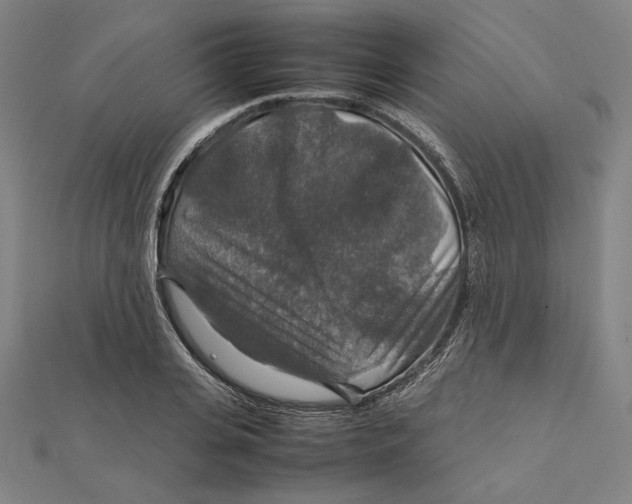 X0000112010935200908311131