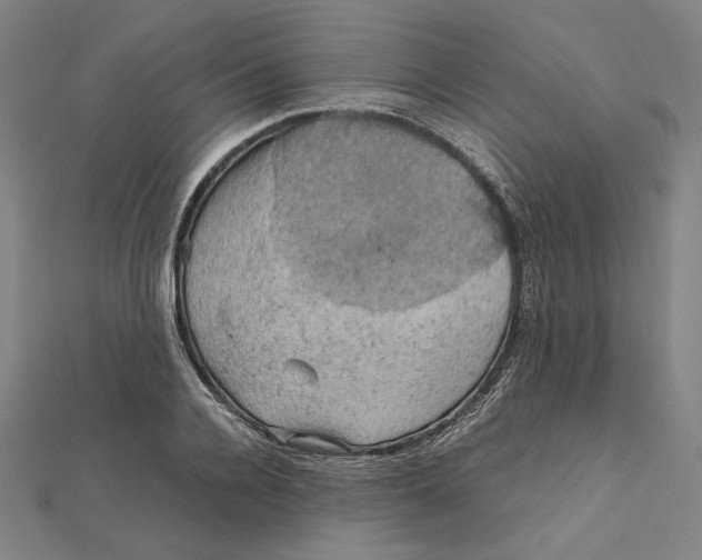 X0000112010936200908311131