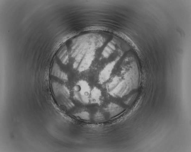 X0000112010937200908311131