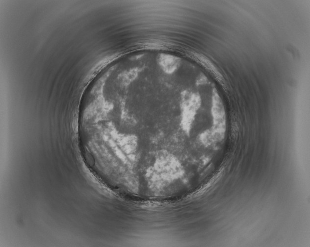 X0000112010938200908311131