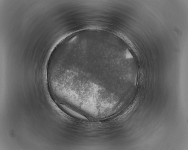 X0000112010939200908311131