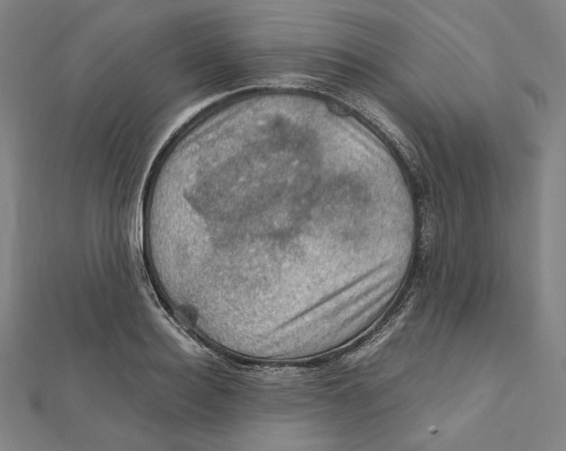 X0000112010940200908311131