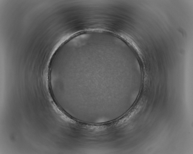 X0000112010941200908311131