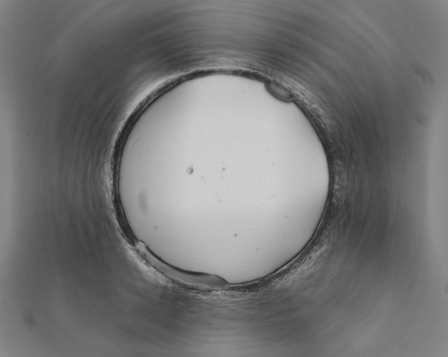 X0000112010942200908311131