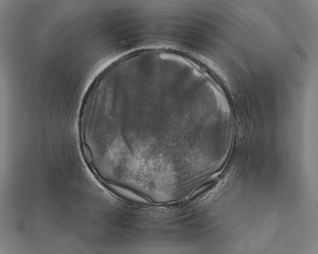 X0000112010943200908311131