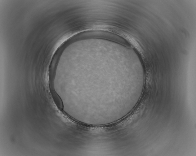 X0000112010944200908311131