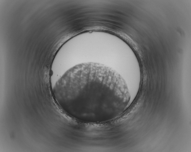 X0000112010945200908311131