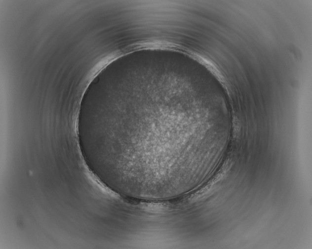 X0000112010946200908311131