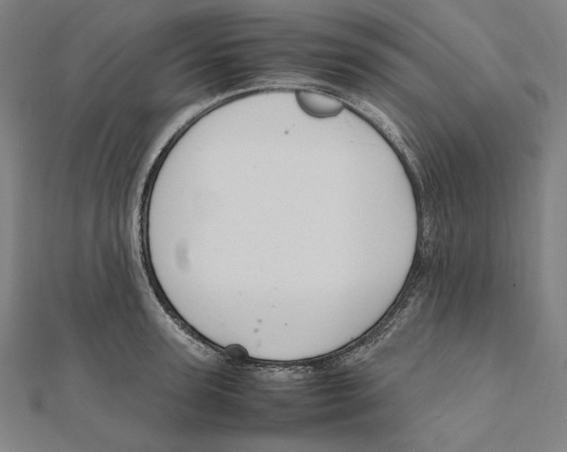 X0000112010947200908311131