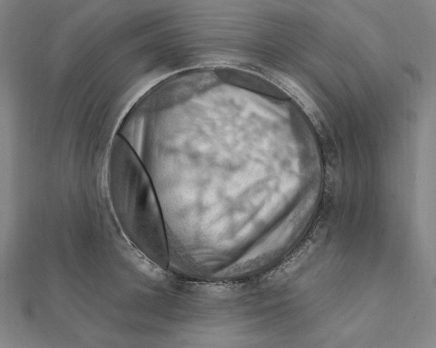 X0000112010948200908311131