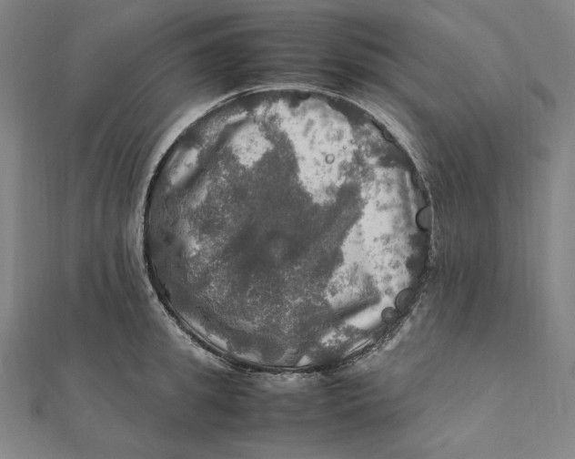 X0000112010949200908311131