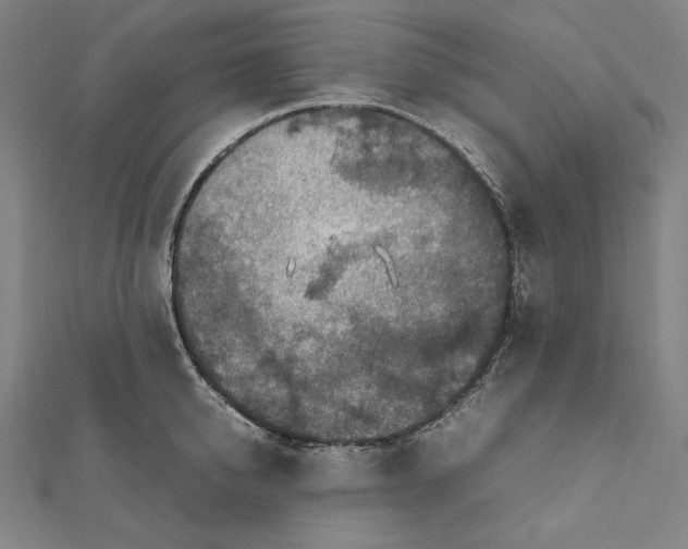 X0000112010950200908311131