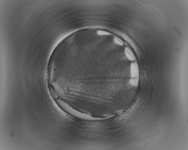 X0000112010951200908311131