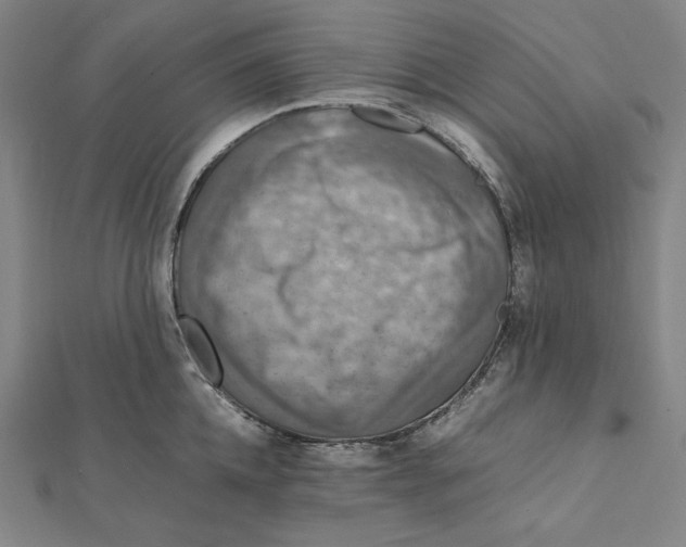 X0000112010952200908311131