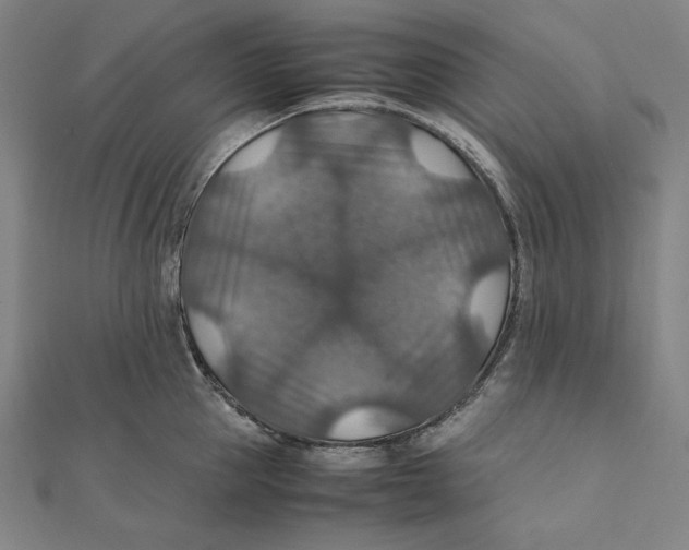 X0000112010953200908311131