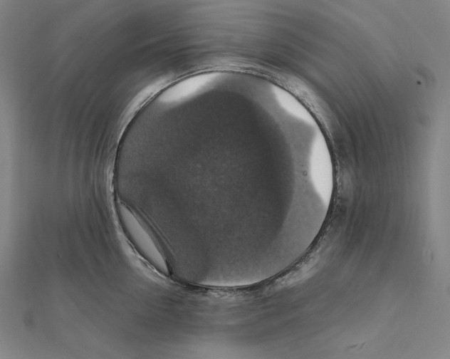 X0000112010954200908311132