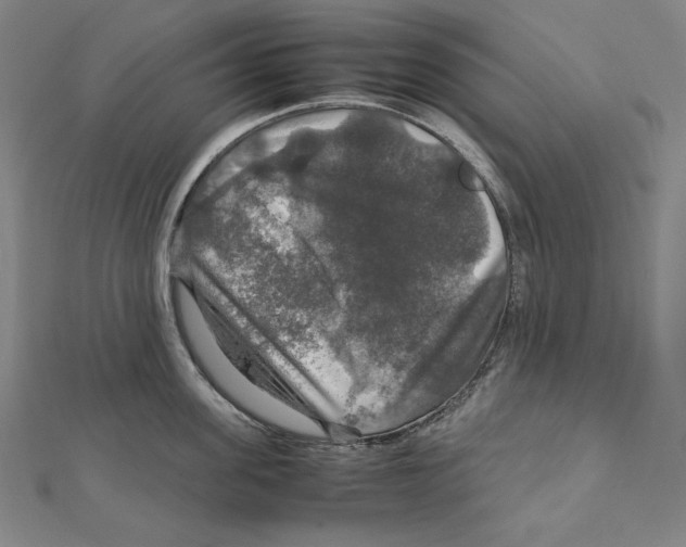 X0000112010955200908311132