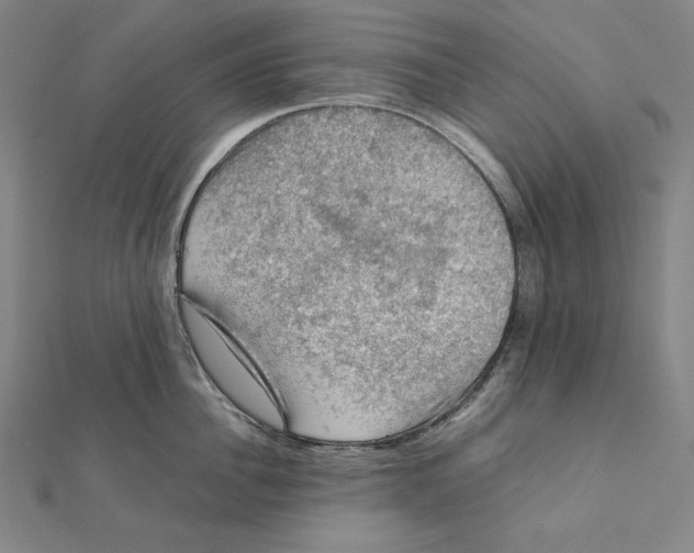 X0000112010956200908311132