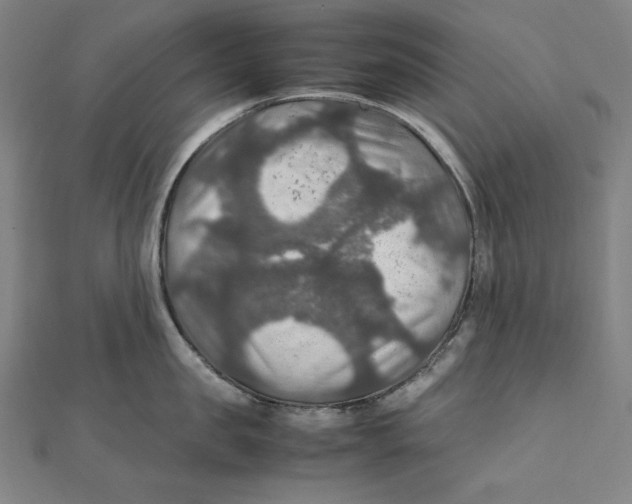 X0000112010957200908311132