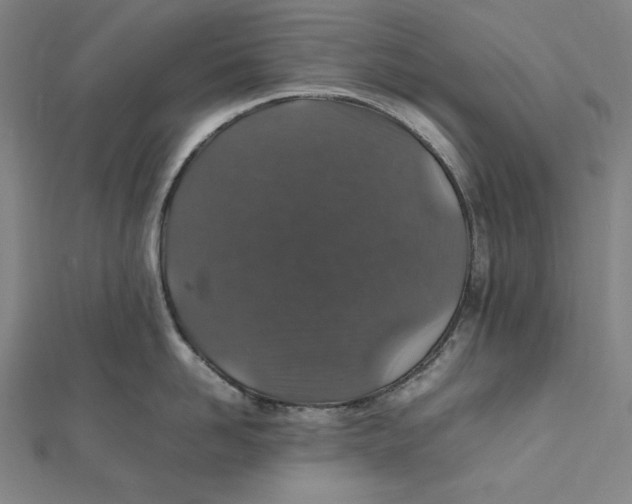 X0000112010958200908311132