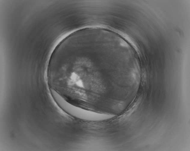 X0000112010959200908311132