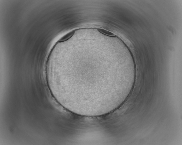 X0000112010960200908311132