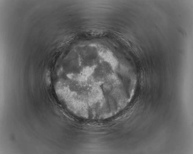 X0000112010962200908311131