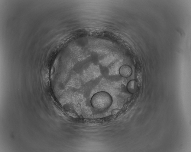 X0000112010963200908311131