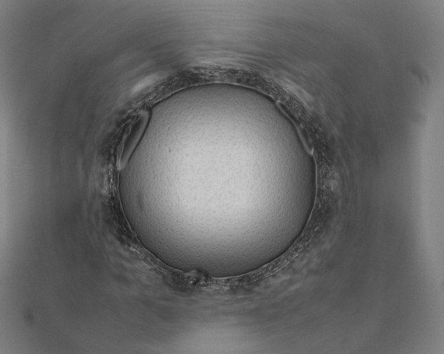 X0000112010965200908311131