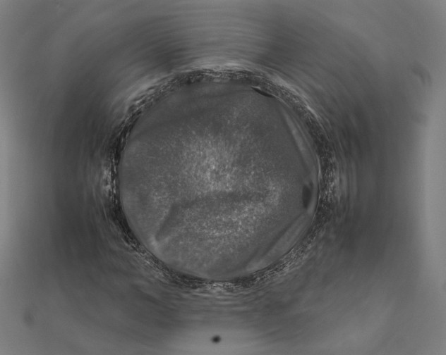 X0000112010966200908311131