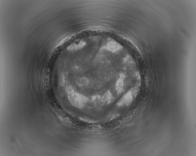 X0000112010968200908311131