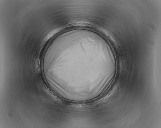 X0000112010970200908311131