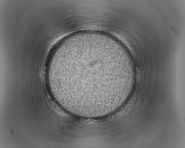 X0000112010971200908311131