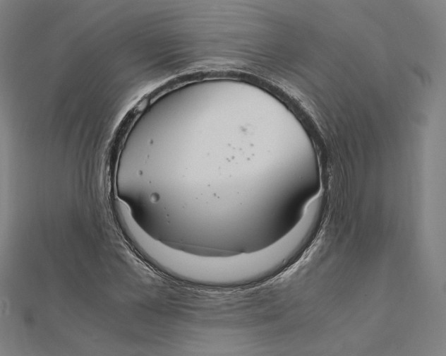 X0000112010973200908311131