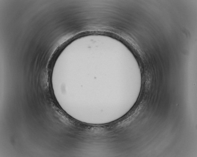 X0000112010974200908311131