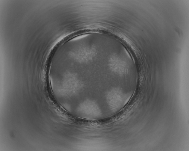 X0000112010975200908311131