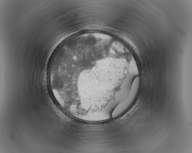 X0000112010976200908311131